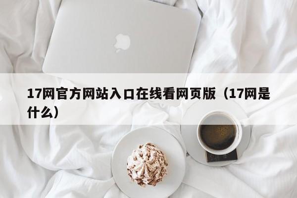 17网官方网站入口在线看网页版(17网是什么)