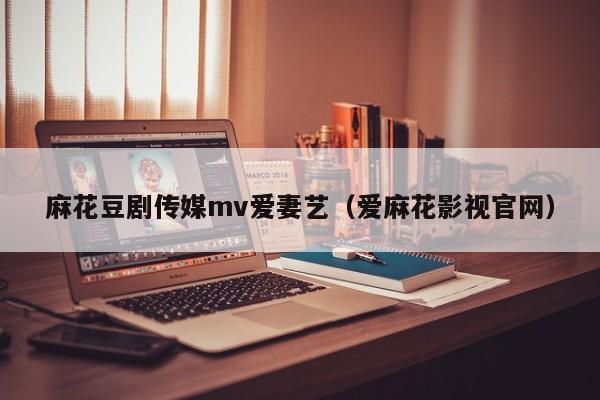 麻花豆剧传媒mv爱妻艺(爱麻花影视官网)