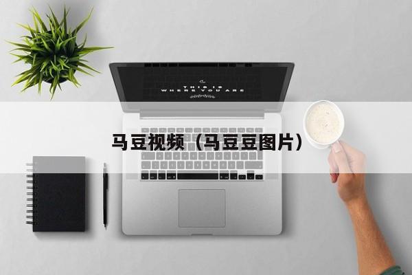 马豆视频(马豆豆图片)