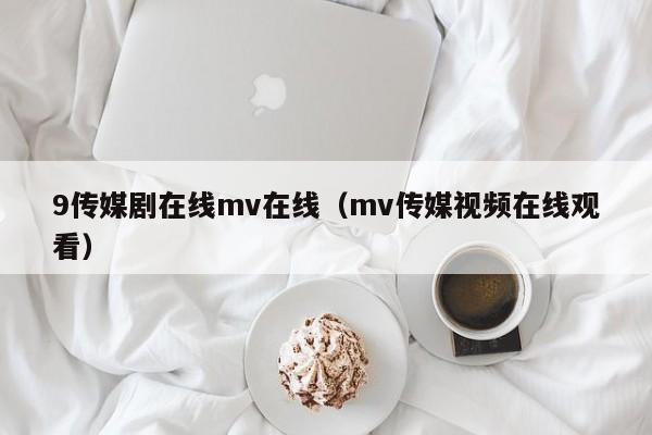 9传媒剧在线mv在线(mv传媒视频在线观看)