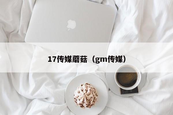 17传媒蘑菇(gm传媒)